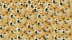 Swole doge template #2 | swole doge. Hd Wallpaper Tan Akita Dog Doge Memes Face Full Frame Large Group Of Objects Wallpaper Flare