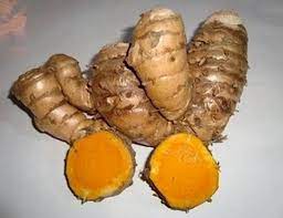 Manfaat Temulawak Tanaman Obat Kunyit Tanaman