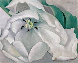 1 1932, the most expensive painting by a female artist ever sold at auction. White Flower 1000museums Georgia O Keefe Art Georgia O Keeffe Paintings Georgia Okeefe
