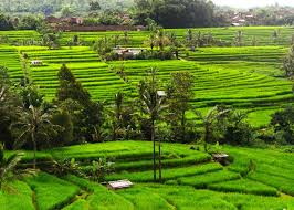 5 jalanan dengan pemandangan indah di indonesia merdeka com. 10 Foto Keindahan Alam Indonesia Yang Harus Kamu Ketahui