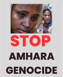 Abebe Getachew Abate (@AbebeGetachewA1)