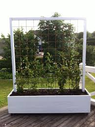 awesome diy outdoor privacy screen ideas with image garden desing awesome garden ideas image outd achtertuinlandschappen buiten schermen patio tuin