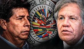 Congreso: acciones del Parlamento que favorecerían a Pedro Castillo a días  de llegada de misión de la OEA