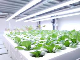 Check spelling or type a new query. Accueil