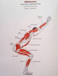 This fun mix of colouring book and instructional guide demystifies anatomy for the yoga enthusiast and teacher yoga instructor, licensed massage therapist, and anatomy teacher kelly solloway provides an entertaining and informative journey through the human body, focusing on the bones, joints, and muscles used in yoga. Pdf Telecharger Anatomy Of Hatha Yoga Pdf Gratuit Pdf Pdfprof Com