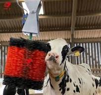 Dariy Farm Equipment Automatic Scratching Cow spinning Brush with Motor for  Cattle Massage