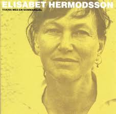 Peter Höglund Discography: Vinyl, CDs, & More