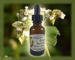 Pin On Flower Essences