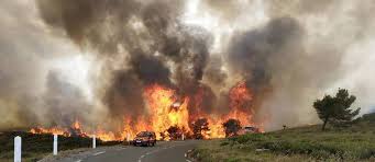 Jul 14, 2021 · aude : Deux Cents Hectares Detruits Apres Un Incendie De Foret Dans L Aude Le Point