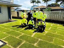 Artificial grass installation pros company! Lawn Savings Soar This Summer Hawaiian Turfgrass Hawaii Renovation