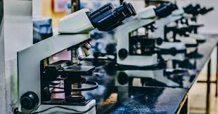 What is your highest academic level? Emission Var Med Pa Bioextrax Kapitalanskaffning Stockpicker Se