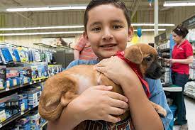 How much does it cost to adopt a dog or cat at petco? Petco Adoption Near Me Online Shopping
