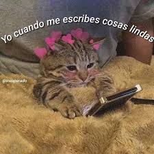 Pin By Angela Silva Cedeno On Frasess Romantic Memes Cute Love Memes Cute Memes
