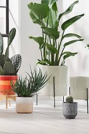 Browse a wide selection of home accessories for sale, including colorful throw pillows, mirrors, posters and rugs to use in your home redesign. 25 Hot Home Decor Deals We Found Hiding In The Amazon Prime Day Sale Decor Deals Amazon Home Decor Amazon Prime Day