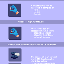 Image result for Cushing Response