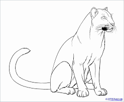 Coloring Picture Of Lions Elegant Coloring Sheets Cute New Cute Tiger Coloring Pages Awesome In 2020 Black Panther Drawing Animal Drawings Lion Pictures