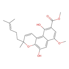 Image result for Rhodopentas bussei