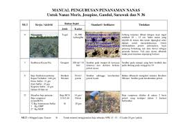 Berikut cara membuat racun rumput buatan sendiri; Pdf Buku Manual Pengurusan Nanas Ummu Amiramin Academia Edu