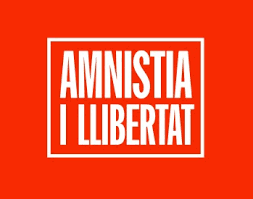 Las niñas y los niños son titulares de todos los derechos reconocidos en la declaración universal de los derechos humanos y los tratados y convenciones internacionales que los desarrollan. Proposta De Llei Organica D Amnistia I Resolucio Del Conflicte Politic Entre Catalunya I L Estat Espanyol Amnistia I Llibertat