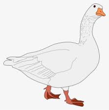 Oca Gris Gambar Animasi Hewan Angsa Free Transparent Clipart Clipartkey