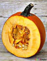 Exploring The Parts Of A Pumpkin Simply Kinder