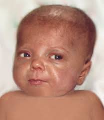 Obituary for Emma Rose Hanrahan