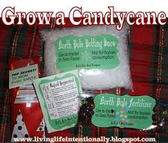 Grow A Candy Cane Project To Do For Kiddos Around Christmas Christmas Activities Christmas Fun Kids Christmas