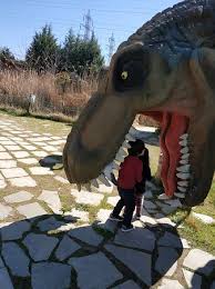 Maybe you would like to learn more about one of these? Dinosaur Park Of Thessaloniki 8essalonikh Ellada Kritikes Tripadvisor