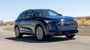 Image result for Maya Brown 2014 Q5