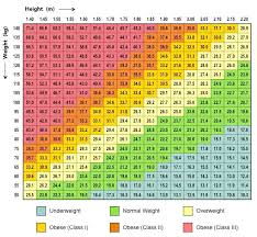 Body Mass Index Bioninja