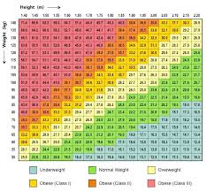 body mass index bioninja