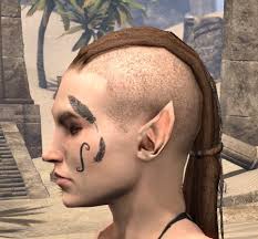 Face tattoos are becoming exceedingly popular as a form of personal expression. Eso Fashion Eagle Plume Face Tattoo Elder Scrolls Online