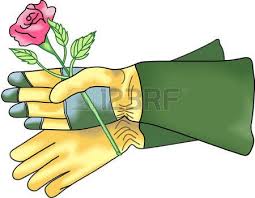 1 832 Garden Glove Stock Illustrations Cliparts And Royalty Free Garten