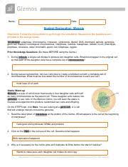 Displaying 8 worksheets for student exploration meiosis gizmo answer key. Shyann Dodd Meiosis Exploration Pages 10897261 Pdf Name Date Student Exploration Meiosis Directions Follow The Instructions To Go Through The Course Hero