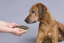 Simply enter his or her maintenance energy requirement (mer) and the caloric density of the food below. How To Calculate Pet Food Dry Matter Basis With Calculator Pet Keen