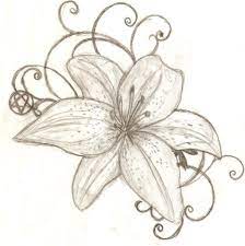 693 favourites #235 back to neverland. 1021x1024 Lily Flower Drawing Tiger Lily Flower Drawing Lilies Drawing Lily Flower Tattoos Flower Drawing