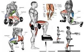 great legs routine using dumbbells valentin bosioc