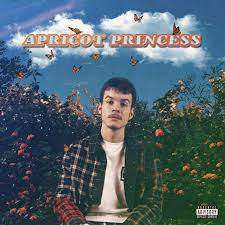 (p) 2020 rex orange county, under exclusive license to sony music entertainment. My Alternate Cover Design For Apricot Princess Rexorangecounty