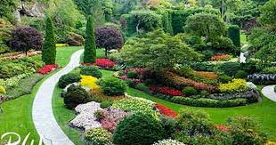 The Butchart Gardens In The Field Photo Blog By Richard Wong Butchart Gardens Garden Photos Sunken Garden