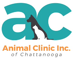 Your answers will help us determine which vaccinations and tests are right for your pet. Veterinarian In Chattanooga Tn Animal Clinic Inc Of Chattanooga