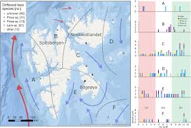 Out Of The Woods Driftwood Insights Into Holocene Pan