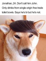 50 Dog Bios That Will Remind You Of Everyone You Know Dog Memes Funny Animal Pictures Funny Animals