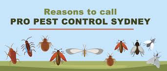 Here are the 7 best pest control services. 10 Reasons To Choose Pro Pest Control Sydney