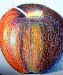 Pin On Colored Pencil Art