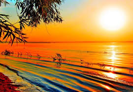 Orange presentation templates download these orange google slides themes and ppt templates for your presentations. Wallpaper Orange Sunset Background Hd Wallpaper