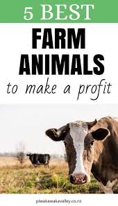 The 5 Best Farm Animals To Raise To Make A Profit In 2020 Farm Animals Farm Raising Cattle