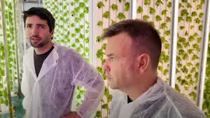 Groots: la fábrica de vegetales del futuro que enamora al multimillonario  empresario Forbes y youtuber José Elías