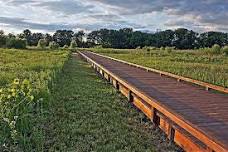 Monthly Birding Walk @ Glacier Ridge Metro Park