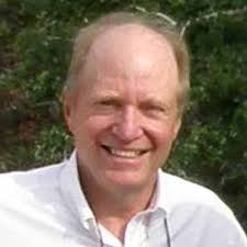 How to protect tomatoes from birds?