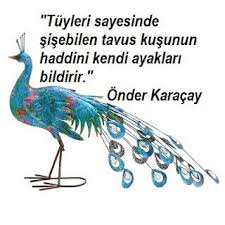 Onder Karacay Sozleri Tavus Kusu Ve Ayaklari Tavus Kusu Kusu Zulum